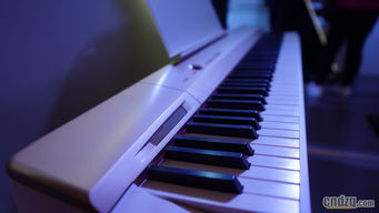 光与音的交响 2017卡西欧全国经销商大会暨新品发布会盛况回顾