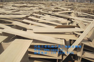 诚招琵琶代理 河南兰考民族乐器厂产品详情及合作机会